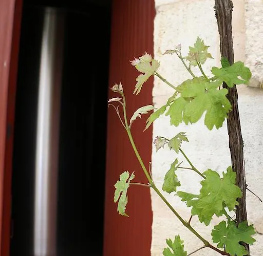 住宿加早餐酒店 卡斯特尔诺城堡旅馆 Saint-Léon