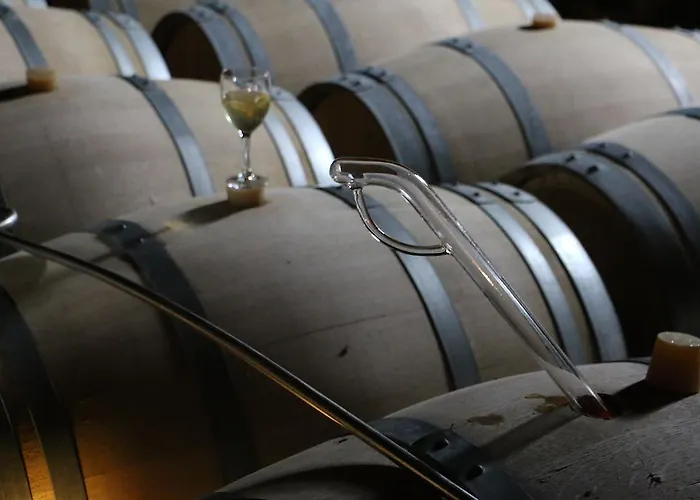 住宿加早餐酒店 卡斯特尔诺城堡旅馆 *