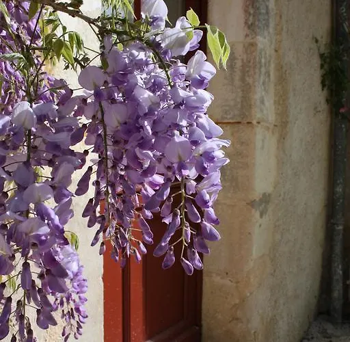 卡斯特尔诺城堡旅馆